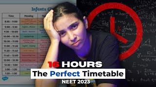 The Perfect Last 45 Days Timetable for NEET 2023