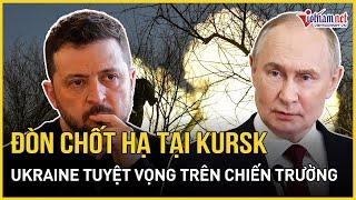 Toàn cảnh Nga - Ukraine: "Đòn chốt hạ" tại Kursk khiến Kiev ngày càng tuyệt vọng | Báo VietNamNet