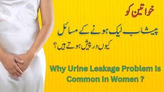 Understanding Urine Leakage Issues: What Women Need To Know ?|Dr Ammar Shafique