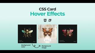 Animated Card Hover Effect | Html & CSS