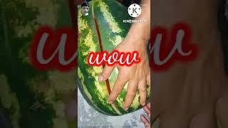 watermelon  #shorts || Umme Muhammad vlog in Bahrain