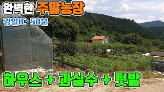 [꿈의주말농장 278] 비닐하우스 + 과실수 + 텃밭 + 농막 완벽 그 자체 주말농장 매매 대지 220평