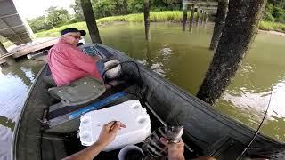 Sheephead Fishing Bluffton SC!!!!