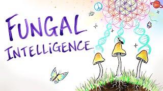 Fungal Intelligence - Conscious Mushrooms, Zombie Ants & The Hidden Wisdom of Nature