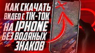 Как скачать видео с TIK TOK на iPhone без водяного знака? БЕЗ ПРОГРАММ