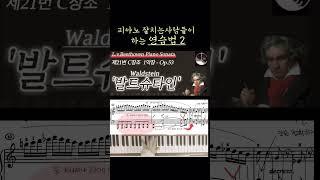 #shorts#베토벤포르테연습법#Waldstein_발트슈타인소나타