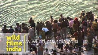 Pilgrims Take Holy Dip In Ganges - Kumbh Mela, Haridwar | India