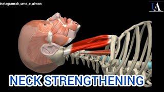 Neck Strengthening |Sternocleidomastoid Muscle |@DrUmeAiman