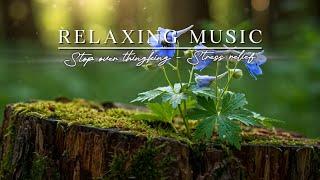 A Quiet Retreat by the Water | Maximize Focus with Relaxing Piano MUSIC | Oxy Music