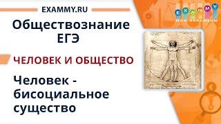 ОБЩЕСТВОЗНАНИЕ ЕГЭ Подготовка | Урок #1. Человек и общество. Человек — бисоциальное существо