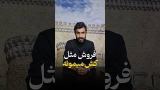 فروش مثل کش میمونه | شایان راشدی #فروش #بیزینس #آموزش_فروش #درامد
