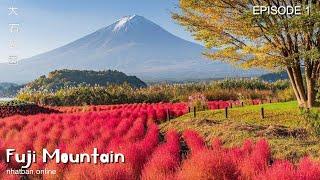 Fuji mountain Japan and Oishi park at the autumn 【 富士山 】【 大石公園 】| #explorejapan #大石公園  #富士山