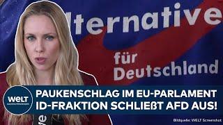 EUROPAWAHL: Paukenschlag in Brüssel! Rechte ID-Fraktion schließt AfD komplett aus EU-Parlament aus