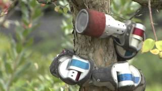 Snake Robot Climbs a Tree