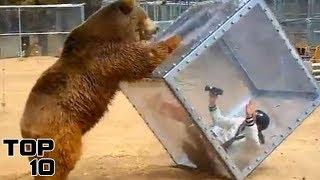 Top 10 Scary Attractions In The World You Can Actually Do