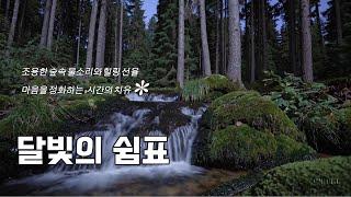 조용한 숲속 물소리와 힐링 선율  | 마음을 정화하는 1시간의 치유
