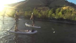 Wildwater River Guides: Stand Up Paddle Boarding