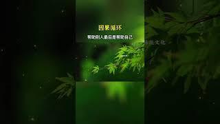 因果循环