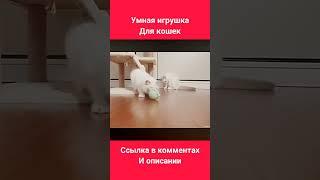 Умная Игрушка для Кошек #shorts