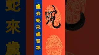 【書畫人生】乙巳春聯 · 滿園春色 / 風調雨順年豐裕 · 龍去蛇來歲吉祥 / 陶海心書法