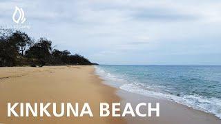 Kinkuna Beach Camping Area - Burrum Coast National Park, QLD