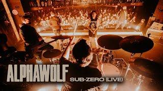 Alpha Wolf - Sub-Zero (Live in Brisbane)