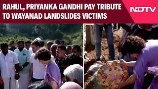 Priyanka Gandhi News | Priyanka Vadra, Rahul Gandhi Pay Tribute To Wayanad Landslides Victims