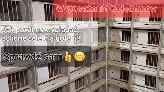 Wyposażenie Gołębników Solidne cele dla gołębi‼️ SPRAWDŹ SAM     #pigeons #loft #gołębiepocztowe