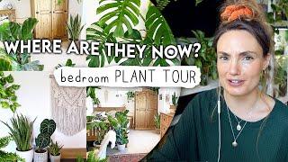 Bedroom Houseplant Tour... WHERE ARE THEY NOW?!  Reacting To My Old Room Tour