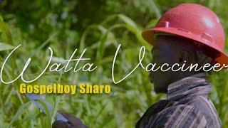 GB Sharo -Watta Vaccineer (Official Music Video) Prod. Kreve Pro