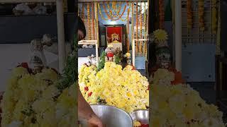 Sree Venkateswara Swamy Temple | Old Gaddiannaram | RathaSaptami Utsavam | 2025 | Pushparchama Part2