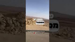 יש קיר ? תלך הוא יזוז הרב גיא גרידיש #רבינחמןמברסלב #הרבגיאגרידיש