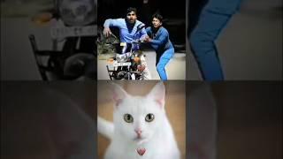 Give this video a title  #cat #memes #shorts