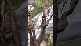 #salem #yercaud #yercaudhills #yercaudhillstation #explore #viralvideo #trendingaudio #shorts