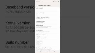 how to turn on developer options onsamsung galaxy note 10