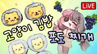 [쿡방] 성우 김가령 바롱의 포도찌개, 고양이 김밥 도전!!
