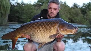 Summer Carp Fishing at Tri Lakes Country Park in Yateley