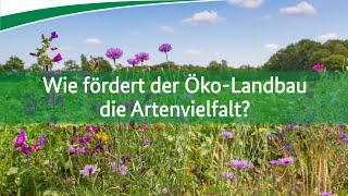 Was hat Bio mit Artenvielfalt zu tun?