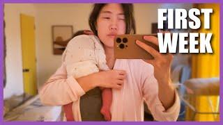 First few weeks with our baby at home, REAL days in the life with a newborn, new mom vlog