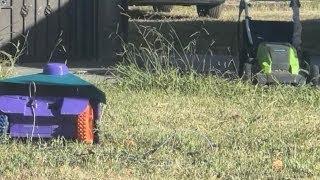This Robot CUTS GRASS!