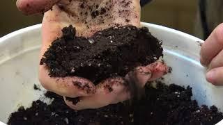 UMN Extension Basics of Starting Seeds
