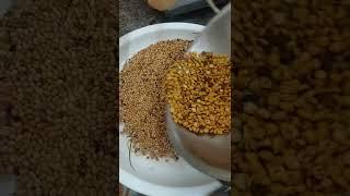 Easy idli podi recipe/instant idli podi/SELVI'S RECIPES #selvi's recipes #shorts #idli podi