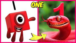 NUMBERBLOCKS Characters as Snakes And Their Favorite Drinks, Snacks & More! | One, Two, Three, Four