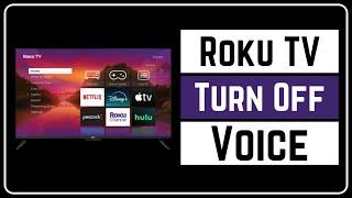 Roku TV How To Turn Off Voice - Disable Screen Reader