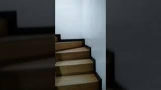short video moments - vlog update 1
