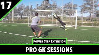 Session 17 | Goalkeeper Training | Pro GK Academy