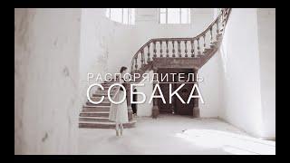 Распорядитель - Собака (новинки музики 2024)