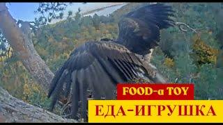 ЧУДНаЯ еда: хошь грызи, хошь прыгай Wonderful food: you want to gnaw, you want to jump02.10.2024