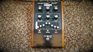 Moog Moogerfooger MF-105 MuRF Demo