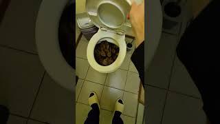 Abrakadabra in my Toilet #ai #bunny #magic #ai #aivideo #shorts